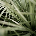 Sermons from the Church of the Resurrection